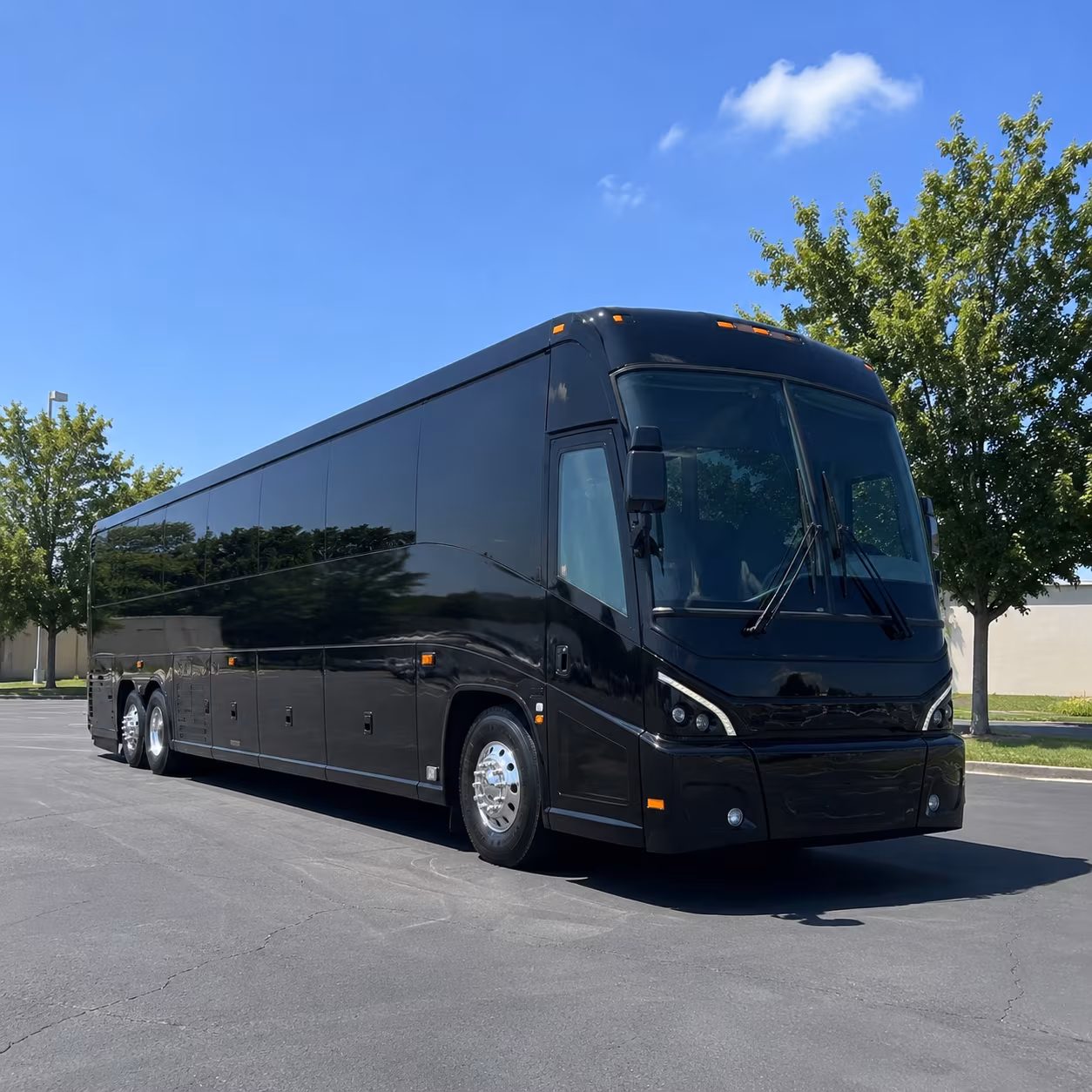 cruise transfers and port of galveston shuttles from temple