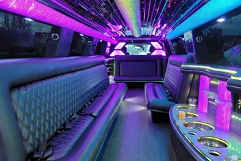 Temple Limo Interior